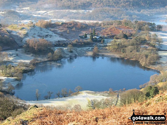 Walk c232 Loughrigg Fell from Ambleside - Loughrigg Tarn from Loughrigg Fell