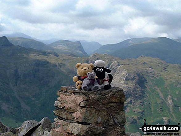 Walk c243 High Raise and Ullscarf from Rosthwaite - Shaun, Tetley & Grizzly on High Raise (Langdale)