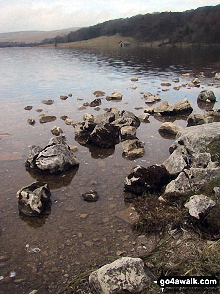 Walk ny159 Gordale Scar and Malham Cove from Malham - Malham Tarn