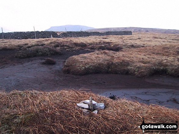 Fountains Fell (South Top) summit cairn