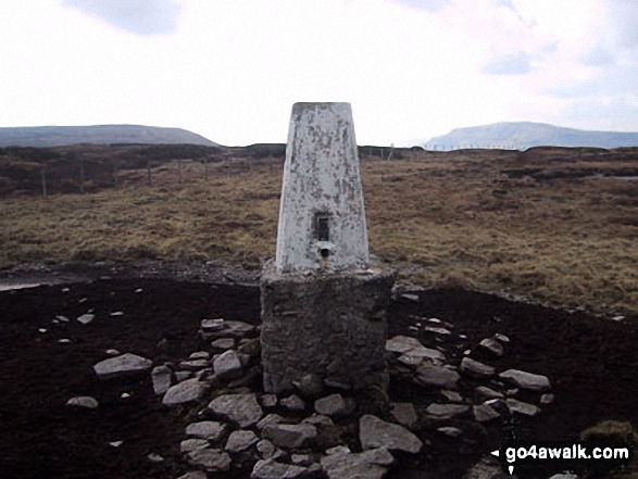 Walk ny135 Fountains Fell and Darnbrook Fell from Dale Head - Darnbrook Fell summit trig point