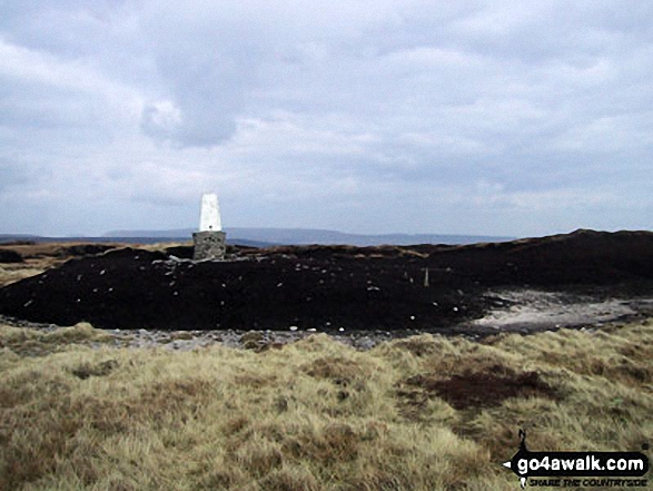 Walk ny135 Fountains Fell and Darnbrook Fell from Dale Head - Trig point on the summit of Darnbrook Fell