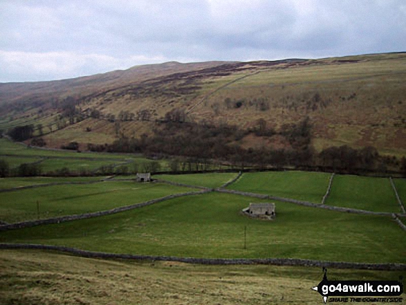 Littondale with Horse Head Moor beyond from Wilson's Pasture on the lower slopes of Darnbrook Fell