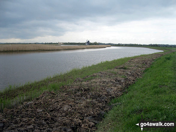 Walk nf160 Berney Mill from Reedham - The River Yare near Polkey's Drainage Mill