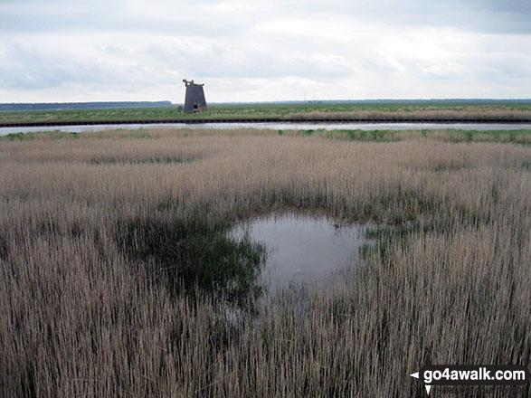 Walk nf133 Breydon Water from Halvergate - Reedham Marshes