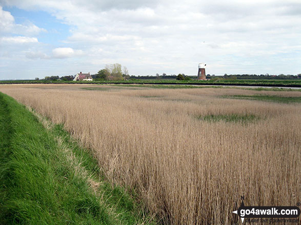 Walk nf133 Breydon Water from Halvergate - Reedham Marshes