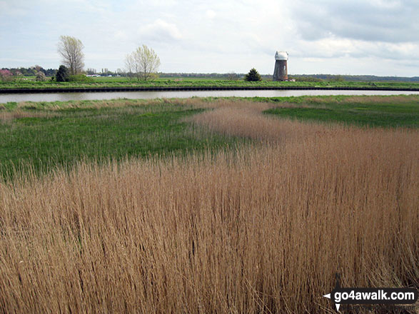 Walk nf160 Berney Mill from Reedham - The Yare and Reedham Marshes