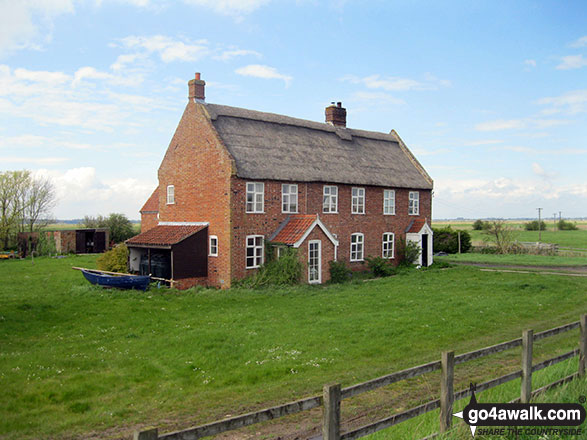 Walk nf160 Berney Mill from Reedham - Ashtree Farm, Reedham Marshes