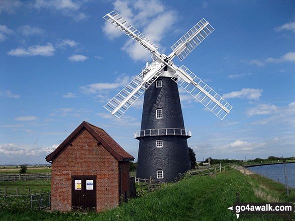 Walk nf133 Breydon Water from Halvergate - Berney Arms Drainage Mill, Reedham Marshes