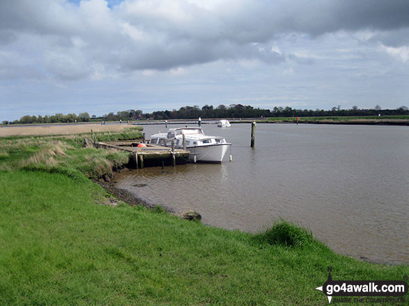 Walk nf133 Breydon Water from Halvergate - Breydon Water