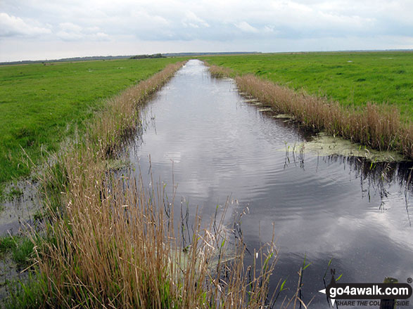 Walk nf160 Berney Mill from Reedham - Dyke near Berney Arms Drainage Mill