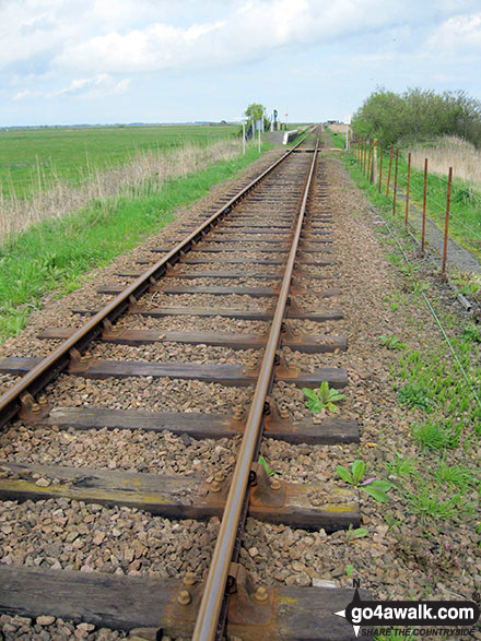 Walk nf133 Breydon Water from Halvergate - Berney Arms Railway Station