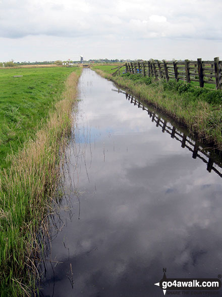 Walk nf160 Berney Mill from Reedham - Drainange Channel, Wickhampton Marshes