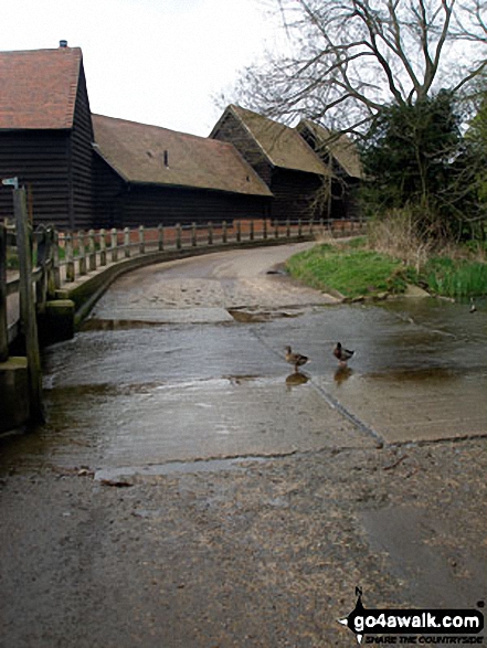 Walk ht101 Wood End and Cromer Windmill from Walkern - Walkern Village