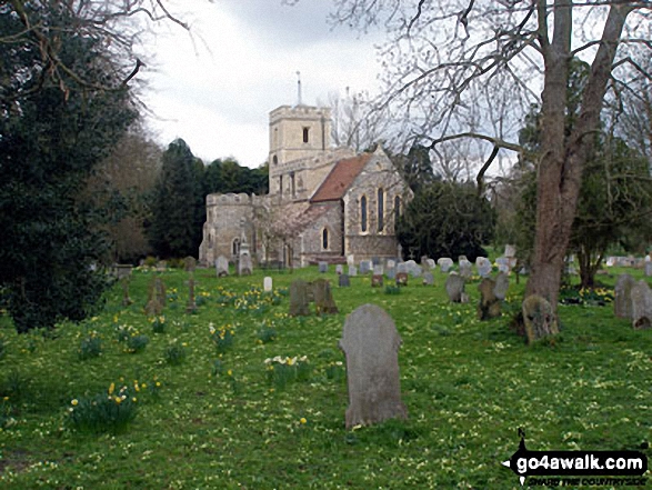 Walk ht108 Ardeley and Cromer Windmill from Walkern - Walkern Village Church