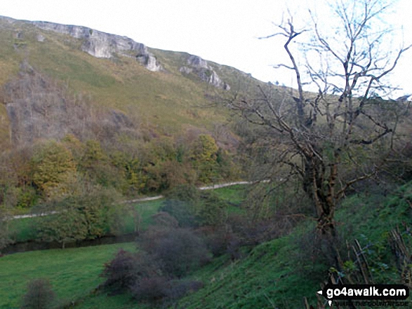 Walk d160 Upperdale, Water-cum-Jolly Dale and The Monsal Trail from Monsal Head - View from the Monsal Trail in Upperdale