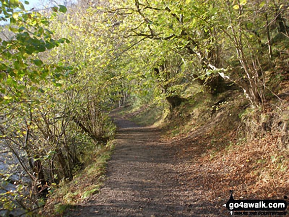 Walk d208 Deep Dale and the Wye Valley from Monsal Dale - The Monsal Trail in Monsal Dale