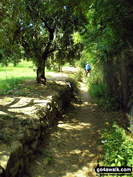 Walk lo107 Rocca di Manerba from Dusano - Footpath near Rocca di Manerba