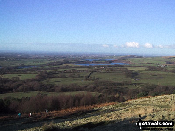 Walk l217 Lever Park, Winter Hill (Rivington Moor) and Rivington Pike from Rivington Lane - Yarrow Reservoir and Anglezarke Reservoir from Winter Hill (Rivington Moor)