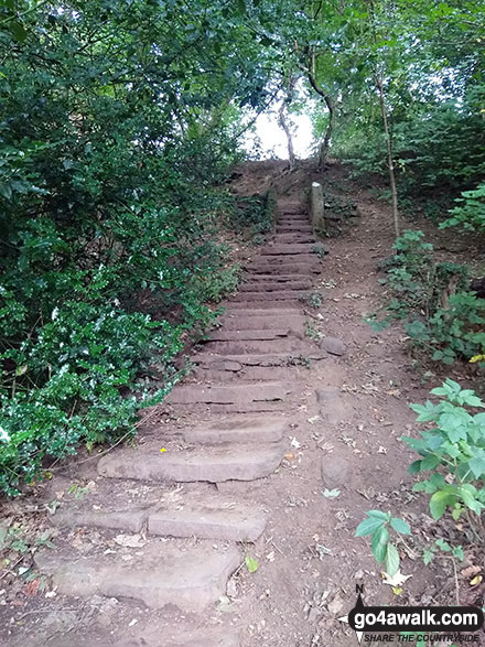 Steps leading down into Low Bradfield 