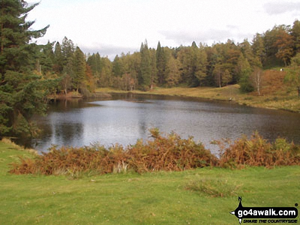 Walk c353 Holme Fell, Black Fell (Black Crag) and Tarn Hows from Tom Gill - Tarn Hows