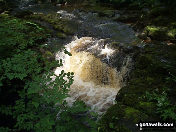 Walk ny110 Hardraw Force and Pike Hill from Hawes - Shaw Gill Wood