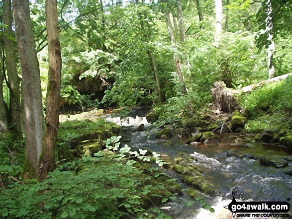 Walk ny110 Hardraw Force and Pike Hill from Hawes - Shaw Gill Wood