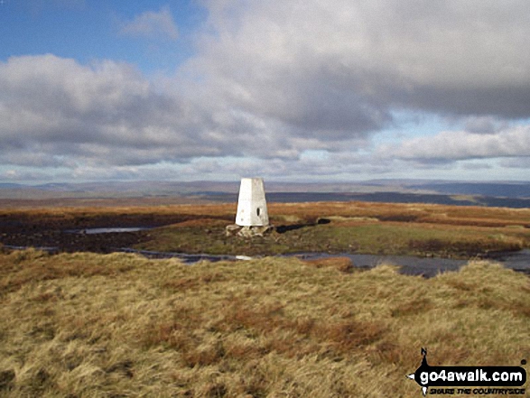 Walk ny104 Buckden Pike from Buckden - Buckden Pike Trig Point