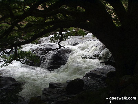 Walk c189 High Raise from Rosthwaite - Stonethwaite beck in the Langstrath Valley