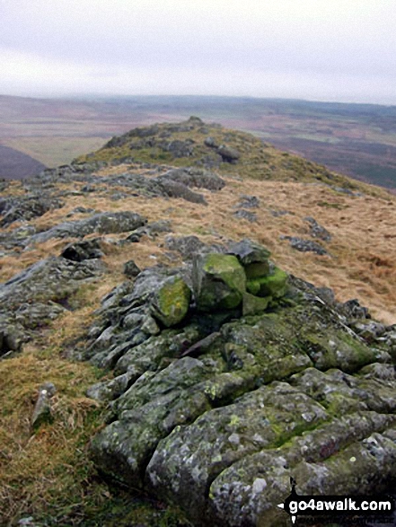 The Knott (Stainton Fell) summit 