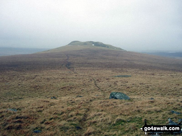 The Knott (Stainton Fell) from White Pike (Birkby Fell)