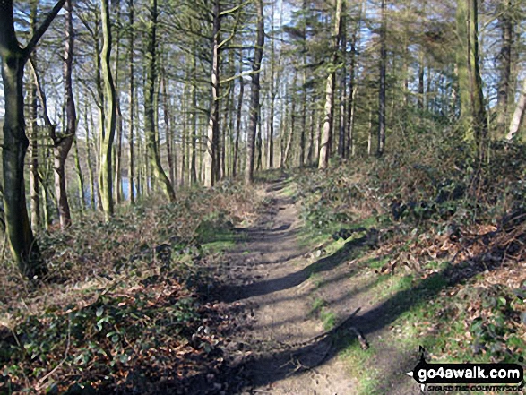 Walk wy113 Baitings Reservoir from Ryburn Reservoir - Path through woodland beside Ryburn Reservoir