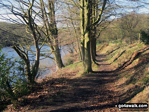 Walk wy113 Baitings Reservoir from Ryburn Reservoir - Path along the shore of Ryburn Reservoir