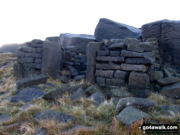 Ruin near the top of West Nab 