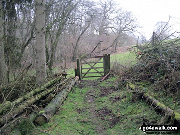 Walk sh130 Spout Wood from The Mere, Ellesmere - In Mill Wood