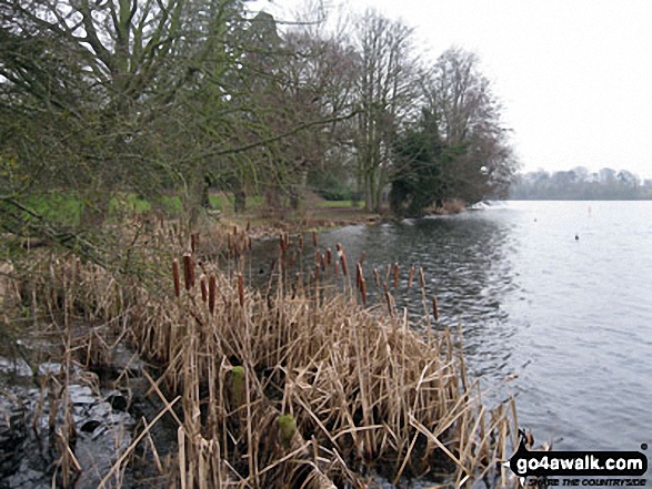 Walk sh114 Welshampton and Spout Wood from The Mere, Ellesmere - The Mere, Ellesmere