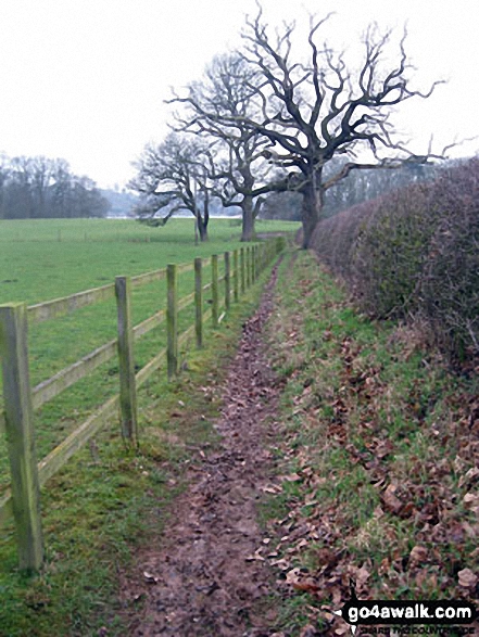 Walk sh143 Welshampton from The Mere, Ellesmere - Footpath near Crimps Farm