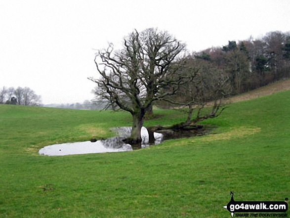 The Shropshire Countryside near Lea Wood 