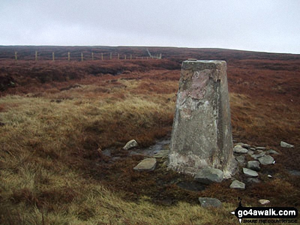 Walk ny207 Yockenthwaite Moor from Buckden - Yockenthwaite Moor summit trig point