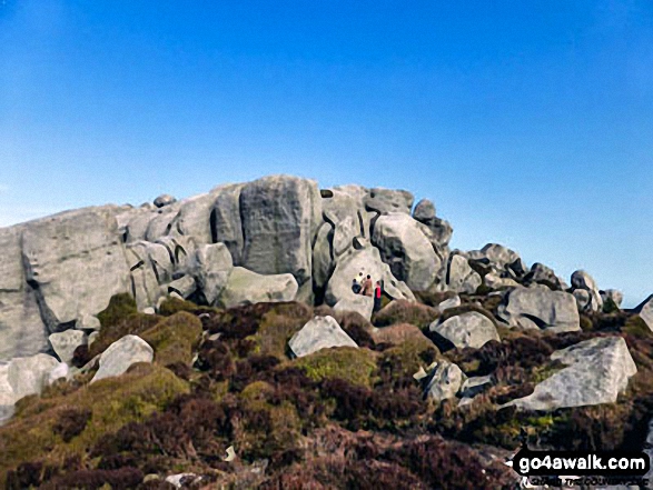 Walk ny121 Simon's Seat from Barden Bridge, Wharfedale - Simon's Seat (Wharfedale) summit from the West - the figures (middle right) give a sense of scale