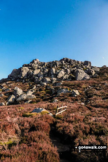 Approaching the summit of Simon's Seat (Wharfedale) from the NW