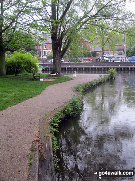 Nesting swans at Pulls Ferry, Norwich Pulls Ferry is a former ferry house located on the River Wensum. It was once a 15th-century watergate. The building is named after John Pull, who ran the ferry across the Wensum from 1796 to 1841. The ferry operated until 1943.