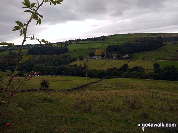 Lodge Moor (Ughill Moors) from near Peck Hall Farm 