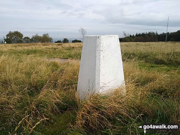 Onesmoor (Kirk Edge) summit trig point 