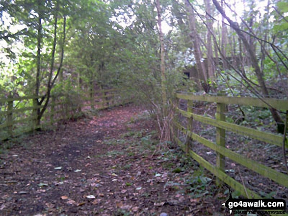 The path leading to tunnel under the M23 near Steners Hill 