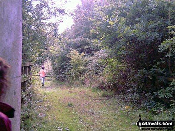 Walk su125 South Nutfield from Bletchingley - Leaving the tunnel under the M23 near Steners Hill