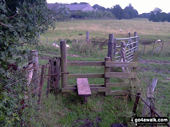 Walk su125 South Nutfield from Bletchingley - Stile on The Greensand Way, South Nutfield