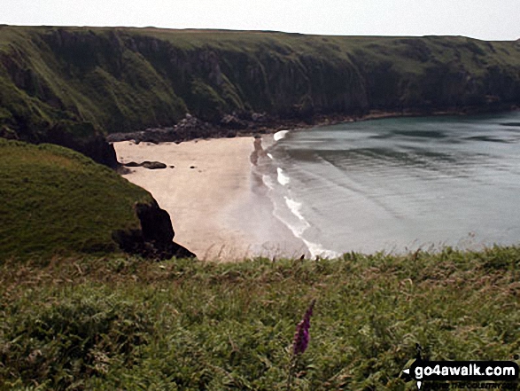 Walk pe119 Pen Dal-aderyn from Porthstinian - Lovely sandy bay on the St Brides Bay section of the Pembrokshire Coast