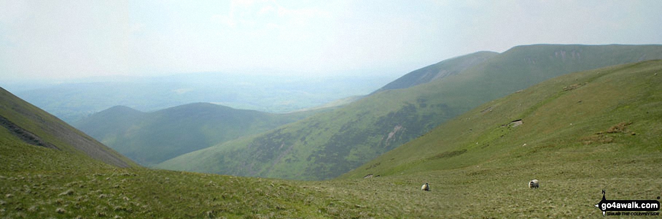 Walk c330 Yarlside, Randygill Top, The Calf and Calders from The Cross Keys - Linghaw behind Fell Head (Howgills) from near The Calf