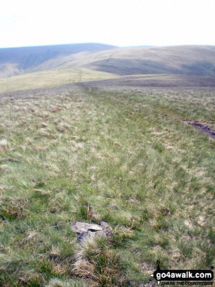 The Calf from Bush Howe summit cairn